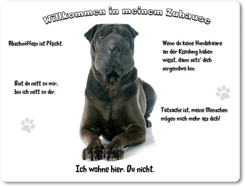 Warnschild 20x30cm - warnschild,