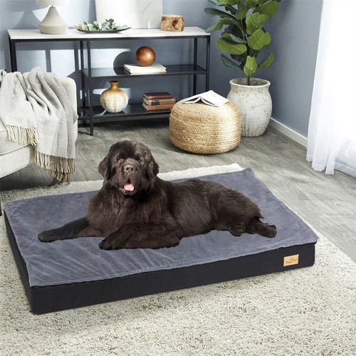 Hundebett orthopädisch - hundebett,