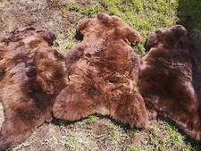 Top Öko Natur Schaffell Lammfell Lamm Fell S-XXXL Rabatt!