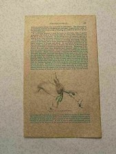 KP201) Torsion of Brachial