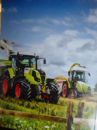 Claas traktor bulldog - bulldog,