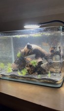 Chihiros LED Serie A II 301