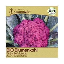 BIO Blumenkohl Samen Sorte Di