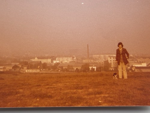 Vintage foto 1970er frau - 🐕vintage,