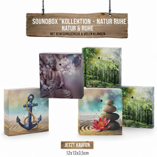 Soundbox Bewegungsmelder