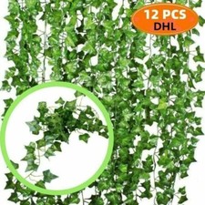 12 Stück Hängepflanze