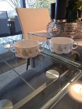 Rosenthal Monbijou Grüne Ranke 2 Suppentassen