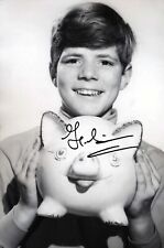 Heintje ( Hein Simons )   original signiertes Foto 20 x 30cm