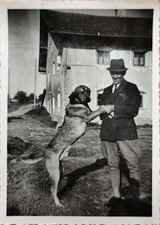 Foto Hammermühle 1944
