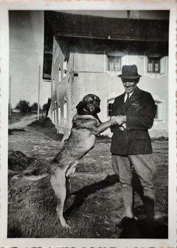 Foto hammermühle 1944 - foto,