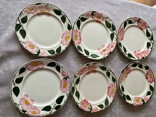 Villeroy boch wildrose 6x - &,