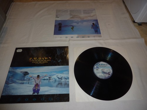Dawn of the - dawn,