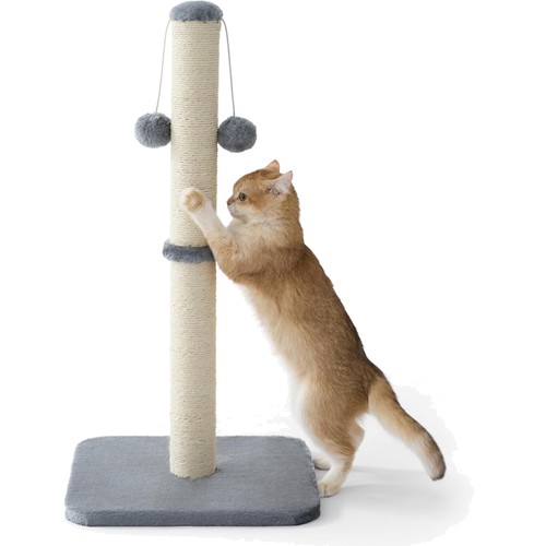 Katzen kratzsäule kratzbaum - katzen,