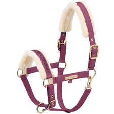Eskadron Wildberry W Halfter