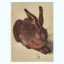 Künstler-AK v. Albrecht Dürer / "Der Hase, Feldhase"