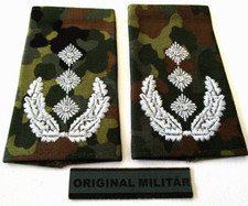 Rangabzeichen Heer Oberst