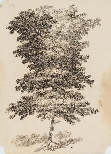 Graimberg - c.,