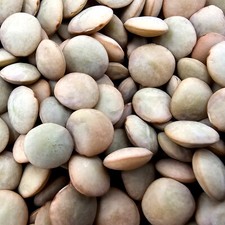 Linsen - Vanrobaeys 25kg