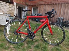 Rennrad Rose Pro Sl Carbon