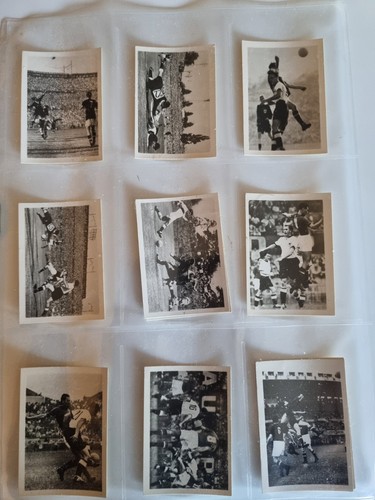 Vogelsang fußball - vogelsang,