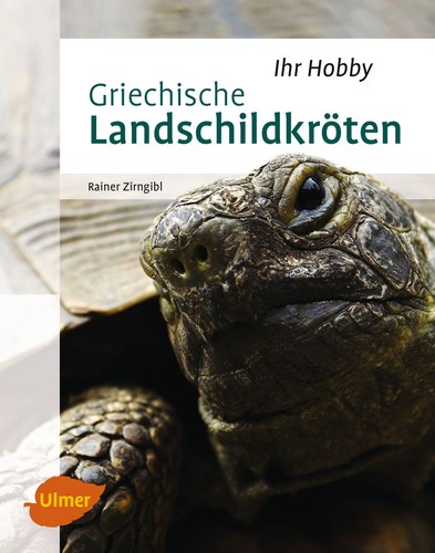 Griechische landschildkröten - griechische,