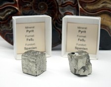 Pyritkristalle 2 Stück Navajun Pyrit Katzengold Pyritwürfel  PY150