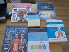 Ergotherapie Medizin Anatomie