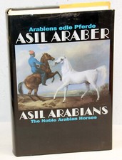 Arabiens edle pferde asil - arabiens,