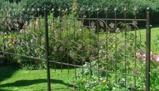 Schmiedeeisen Zaun Rank Zäune