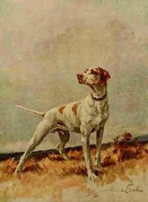 A4 Foto Graf Maud 1864 1943