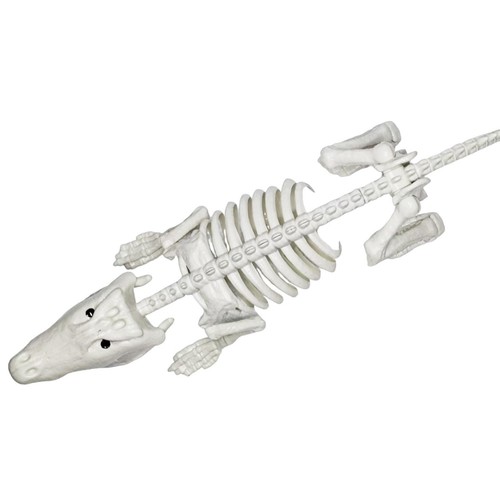 Halloween krokodile skelett - krokodile,