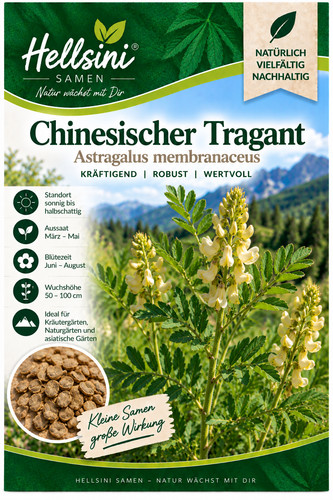 Chinesischer tragant - chinesischer,
