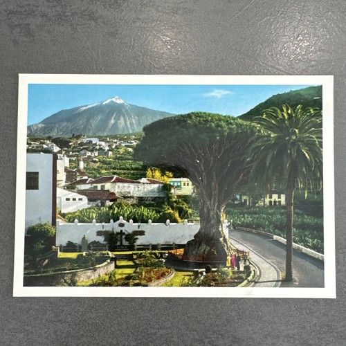 Postkarte teneriffa icod - postkarte,