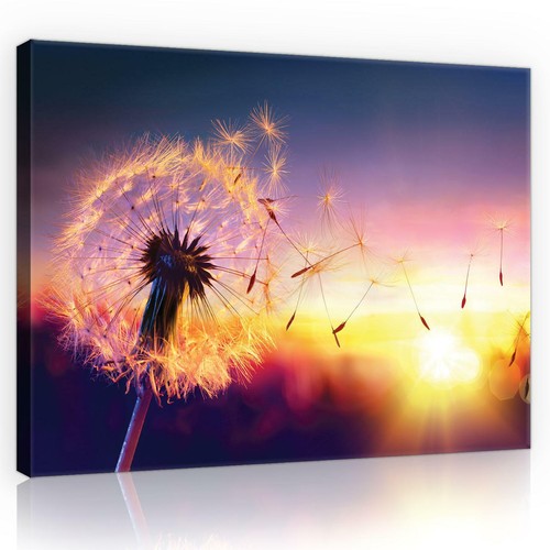 Canvas leinwand bilder - canvas,