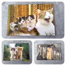 4x Postkarten Katzen
