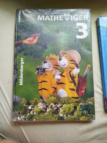 Mathetiger buch - 3,