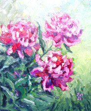 Pfingstrosen Blumen Original