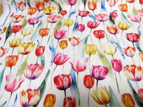 Tulpen tulpe tulip frühling - tulpe,