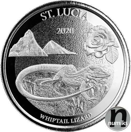 Whiptail lizard 2020 lucia - 2020,