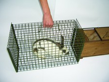 Entnahmebox zur Entnahme von Wild für Lebendfallen Falle Kieferle #000.054