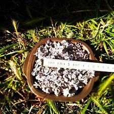 Zinn Reinzinn Sn99,9% 100g Granulat Schmelz Zinn Zinnperlen Tropfen Zinngießen