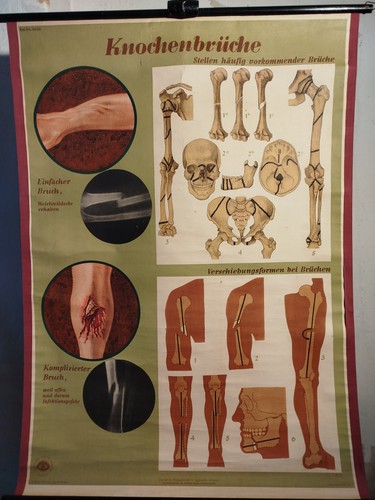 Schulwandkarte ddr rollkarte - schulwandkarte,