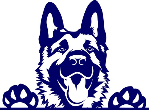 Aufkleber auto sticker hund - aufkleber,