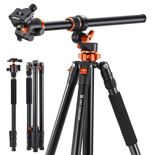 Concept 230cm - concept,