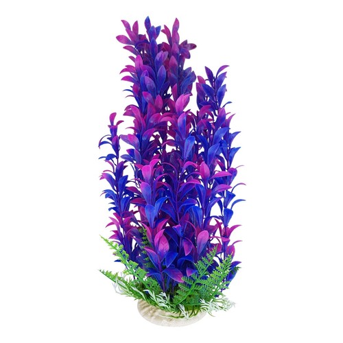 Lila aquarium pflanze mit - lila,