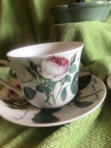 Redoute roses roy kirkham - roses,