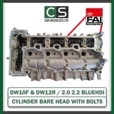 DW10F DW12R ZYLINDERKOPF BLANK