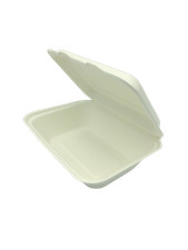 Einweg kompostierbare Bagasse