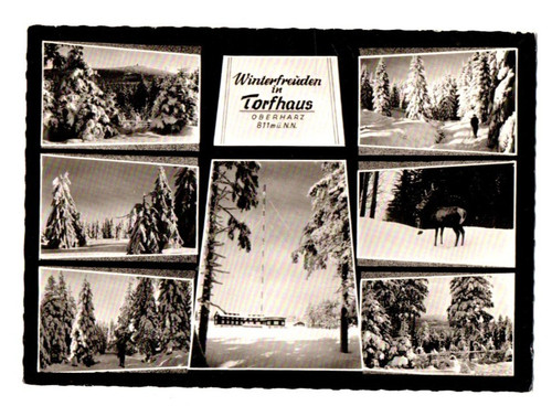 Postkarte winterfreuden - postkarte, in