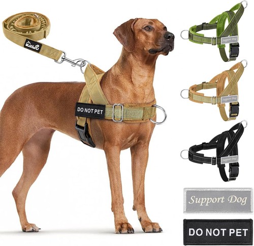 Hundegeschirr mit leine für - hundegeschirr,